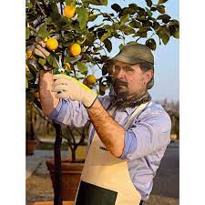 ქუდი ბაღის VERDEMAX 5068